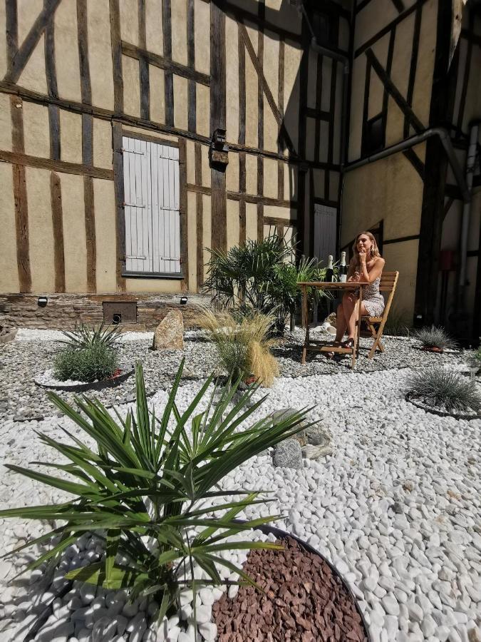 Le Chat De La Cathedrale - Calme - Jardin - Wifi Troyes Dış mekan fotoğraf