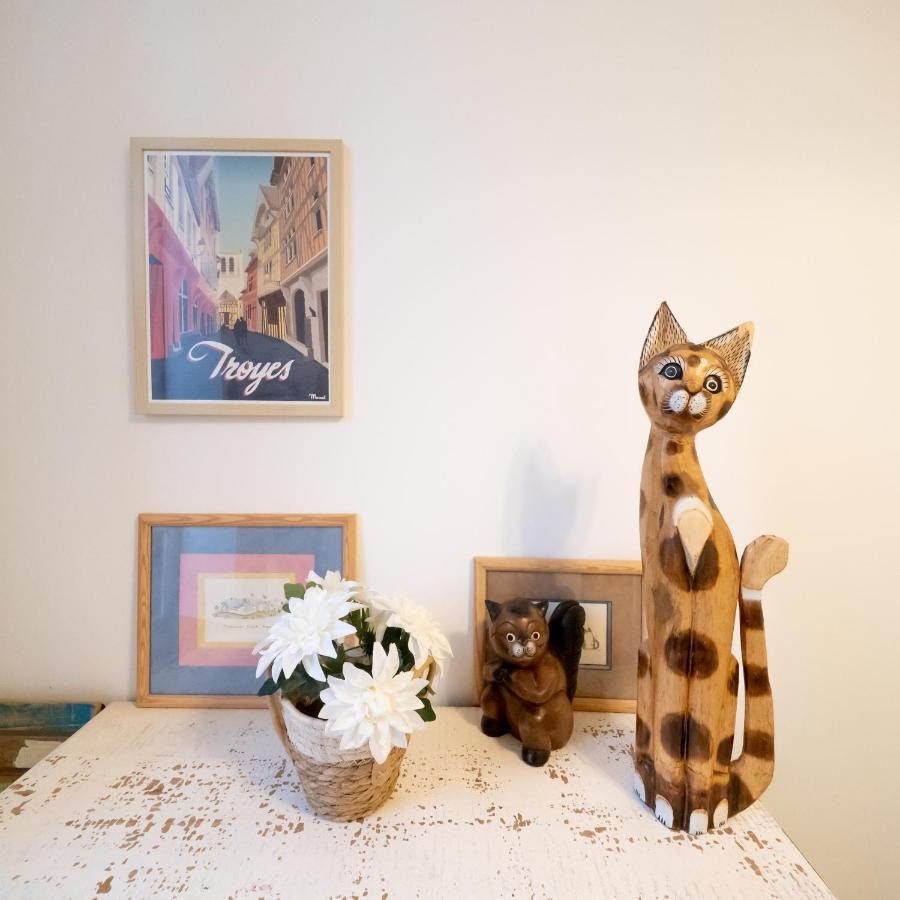 Le Chat De La Cathedrale - Calme - Jardin - Wifi Troyes Dış mekan fotoğraf